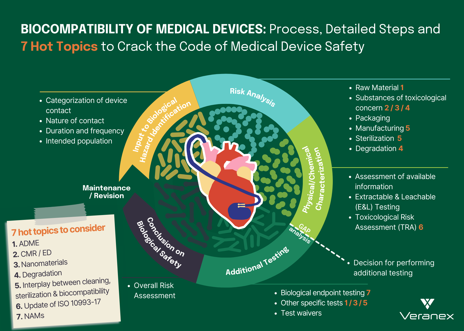 Biocompatibility of Medical Devices: Process, Detailed Steps and 7 Hot ...