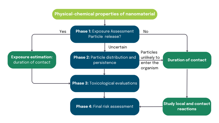 SCENIHR phased approach
