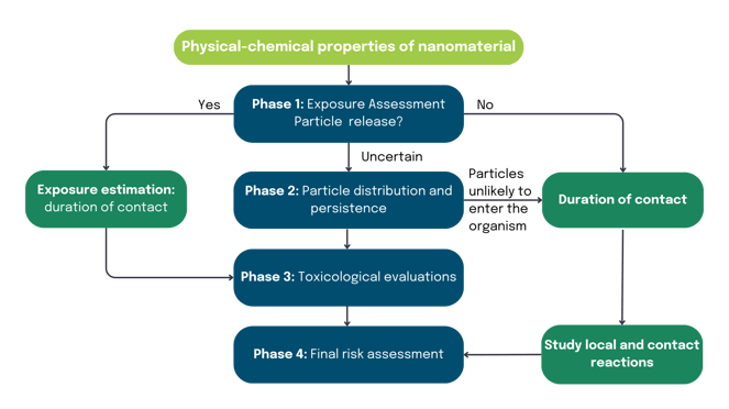 SCENIHR phased approach