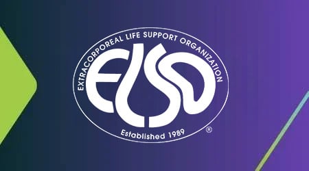 ce-elso
