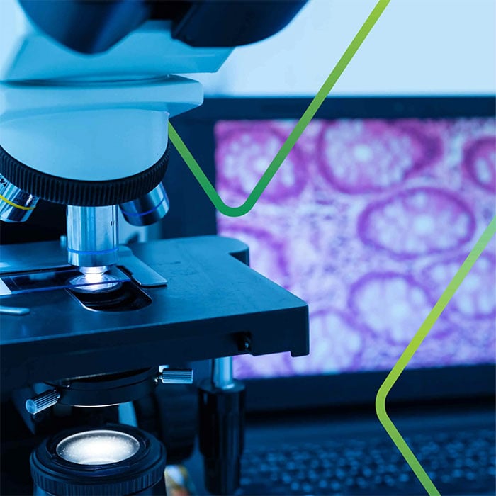 Six Signs You're Not Ready for GLP Preclinical Studies - A Histology Perspective