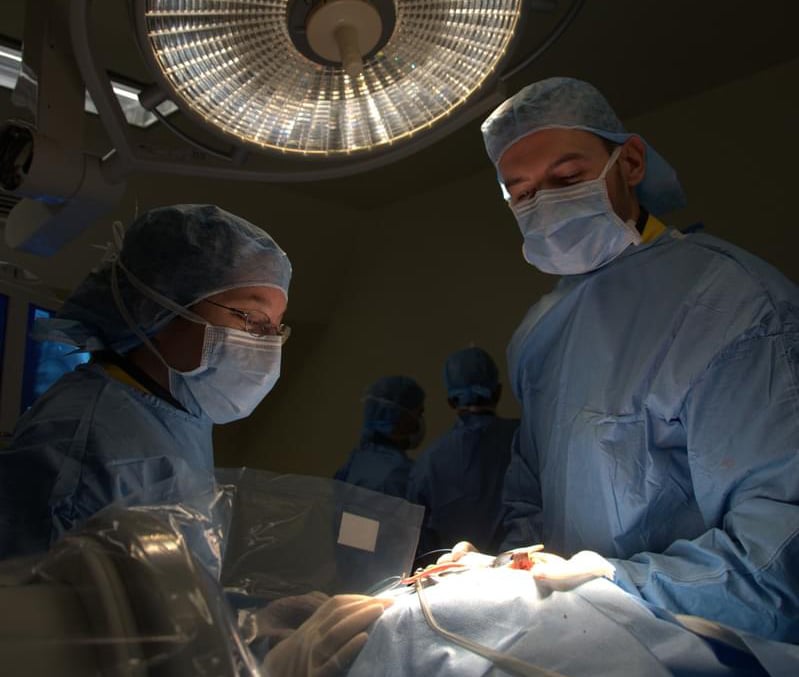 Accelerating MedTech Innovation: Top 10 Preclinical Service Providers in 2025