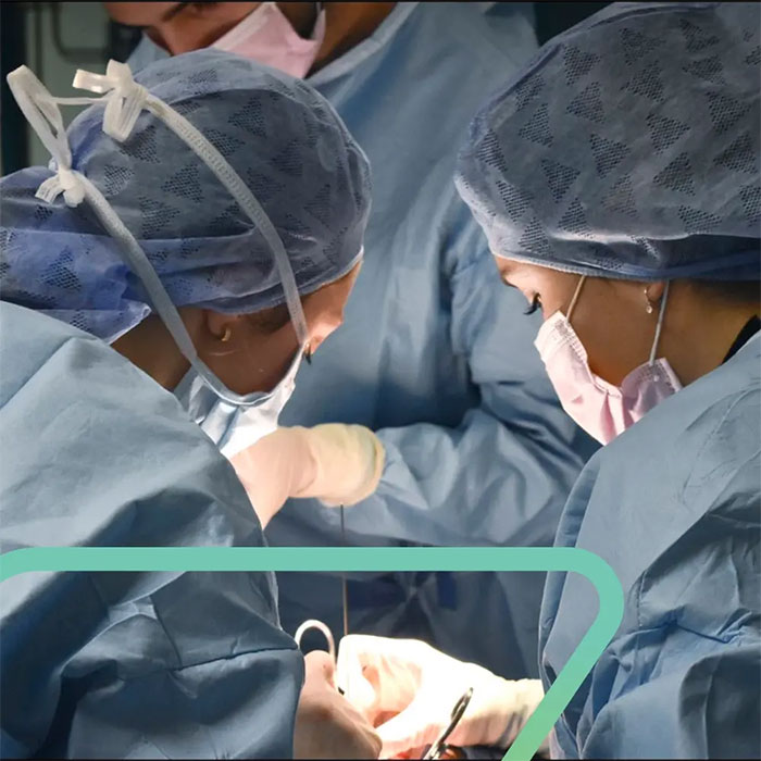 Beyond Price: Why Expertise and Integration Matter for Preclinical Contract Research