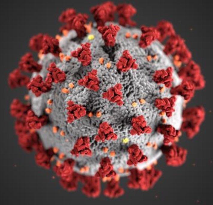 coronavirus_0 coronavirus_0