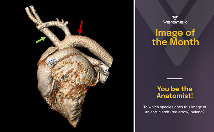 March Image of the Month