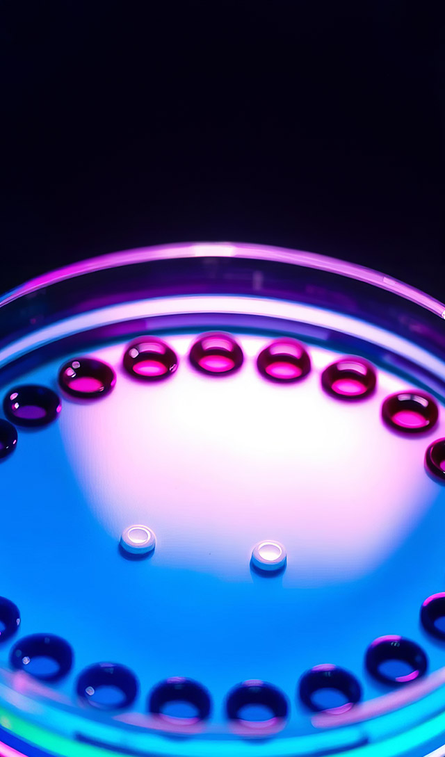 in-vitro