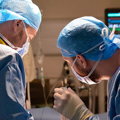 Preclinical Overview