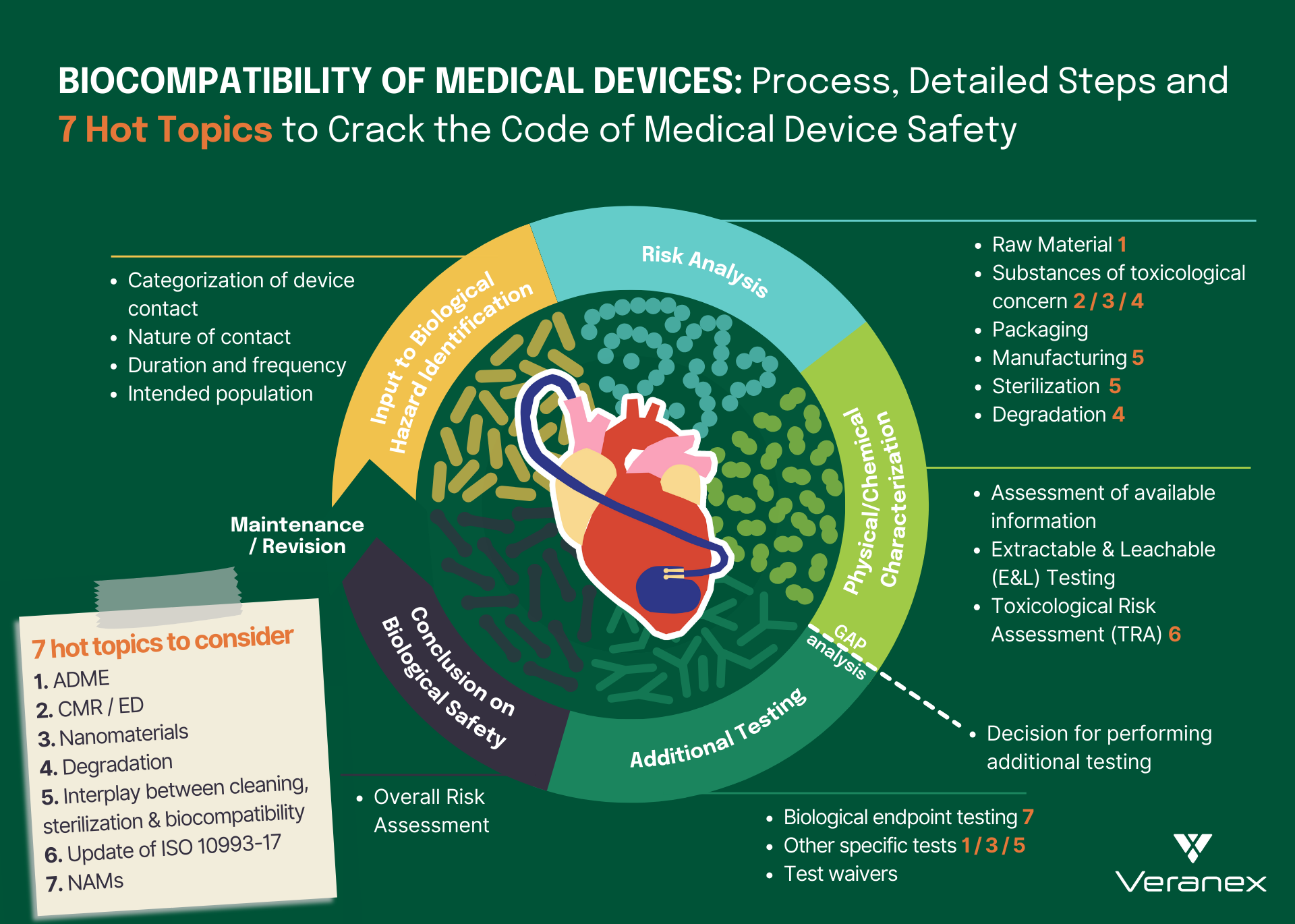 Biocompatibility Process Infographic